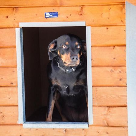 Ferienwohnung Bei Cooldog Imst Εξωτερικό φωτογραφία