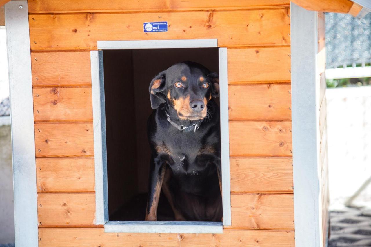 Ferienwohnung Bei Cooldog Imst Εξωτερικό φωτογραφία